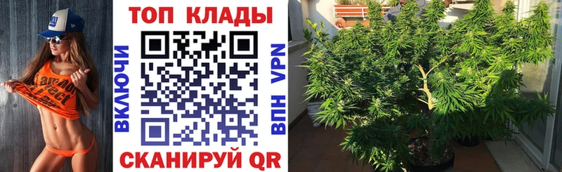 Купить наркотики цена Ачхой-Мартан ГАШИШ  СК  Мефедрон  Конопля 