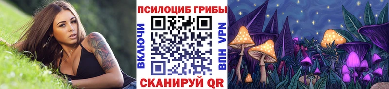 дарнет шоп  МЕГА ONION  маркетплейс наркотические препараты  Ачхой-Мартан  Галлюциногенные грибы мухоморы 